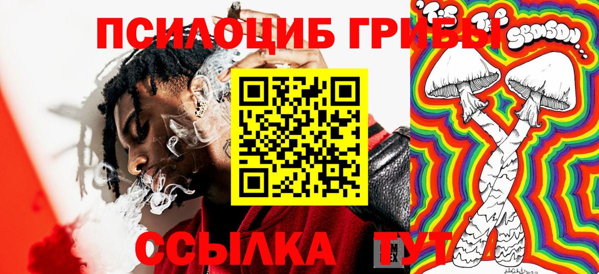 Алексин  Галлюциногенные грибы прущие грибы  Псилоцибиновые грибы прущие грибы  Вход с VPN 
