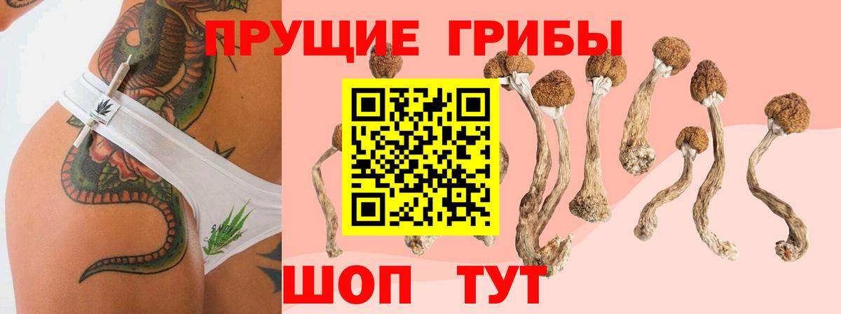 Галлюциногенные грибы мицелий Алексин